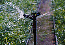 SP-04灌溉系統
