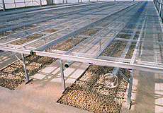 SP-06溫室植床設施系統